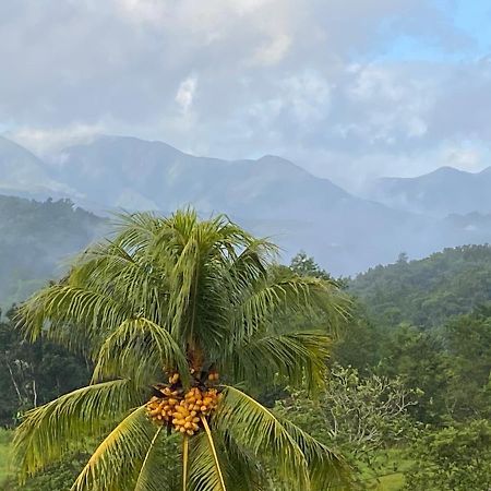 La Vallee De Diane Villa เปอตีต์-บูร์ก ภายนอก รูปภาพ