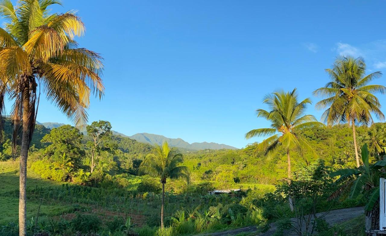 La Vallee De Diane Villa เปอตีต์-บูร์ก ภายนอก รูปภาพ